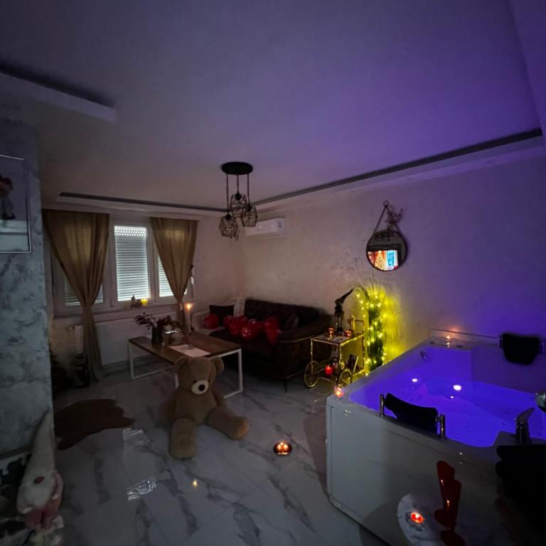 Teddy Bear Jacuzzi Spa Apartment Sarajevo - One-Bedroom Apartment - 13