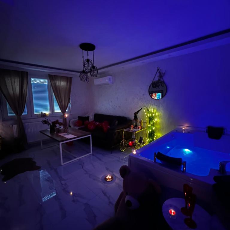 Teddy Bear Jacuzzi Spa Apartment Sarajevo - One-Bedroom Apartment - 12