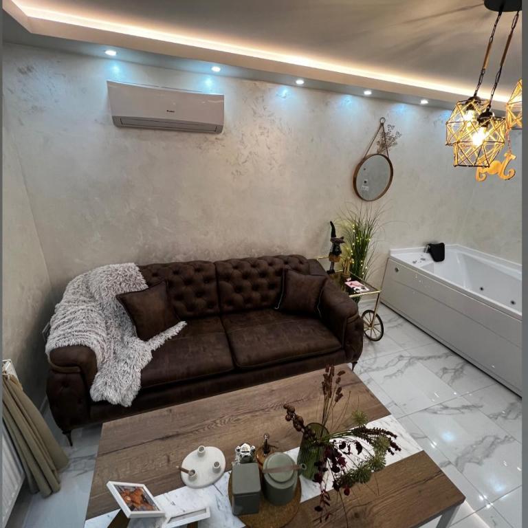 Teddy Bear Jacuzzi Spa Apartment Sarajevo - One-Bedroom Apartment - 6