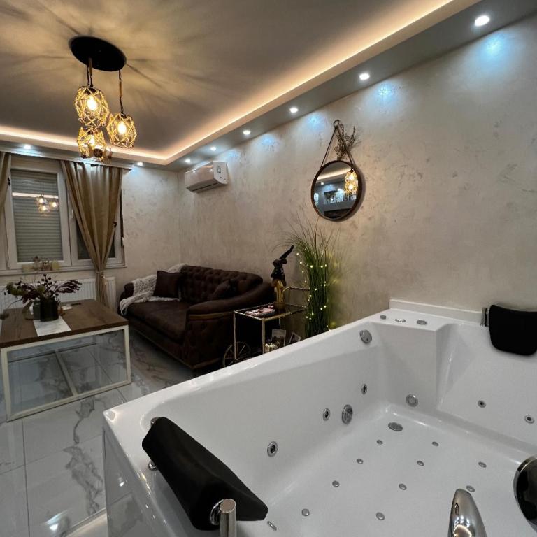 Teddy Bear Jacuzzi Spa Apartment Sarajevo - One-Bedroom Apartment - 5