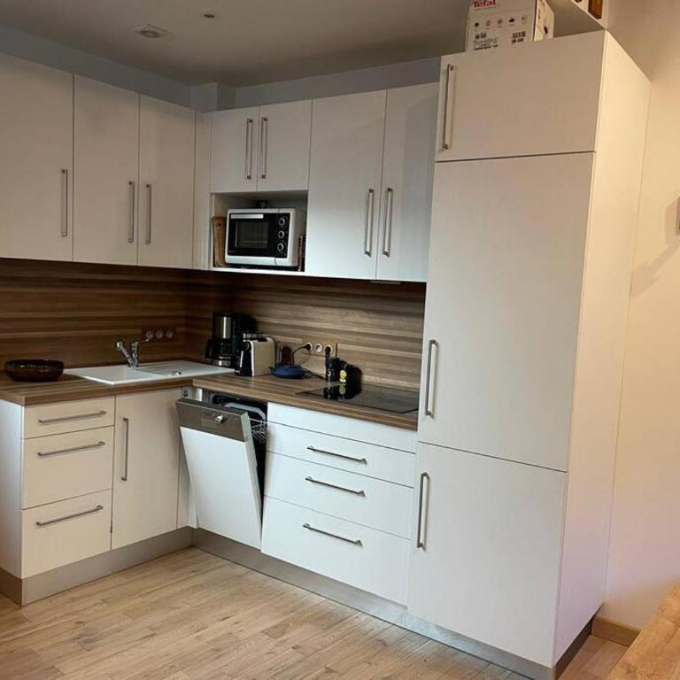 À louer beau deux-pièces St-Etienne-de-Tinée - Appartement 1 Chambre - 29