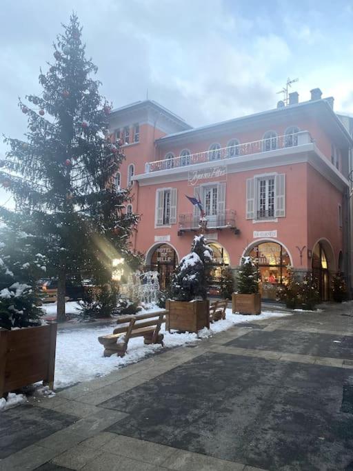 À louer beau deux-pièces St-Etienne-de-Tinée - Appartement 1 Chambre - 30