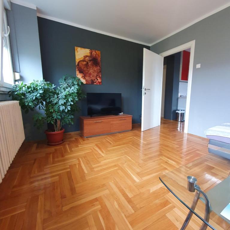 Comfortable apartment near the City Center - Apartman sa 1 Spavaćom Sobom - 5