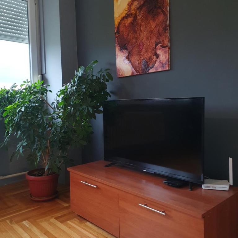Comfortable apartment near the City Center - Apartman sa 1 Spavaćom Sobom - 4