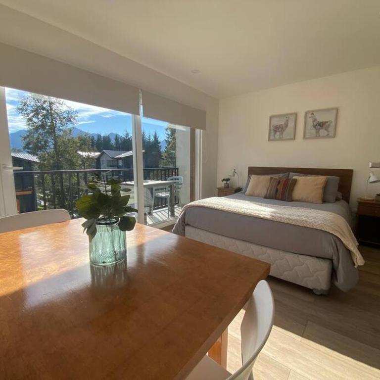 Encantador y moderno studio en Pucón - Apartamento de 1 dormitorio - 12