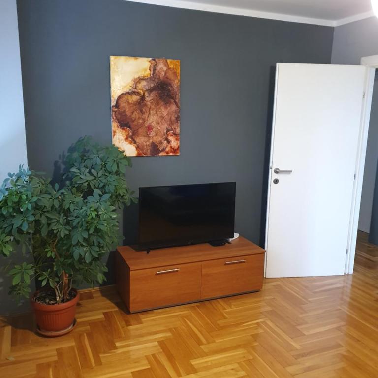 Comfortable apartment near the City Center - Apartman sa 1 Spavaćom Sobom - 3