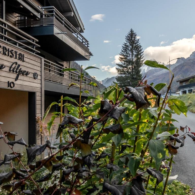 Cristal Des Alpes - Superb T3 - Vue Mont-Blanc - Appartement - 17