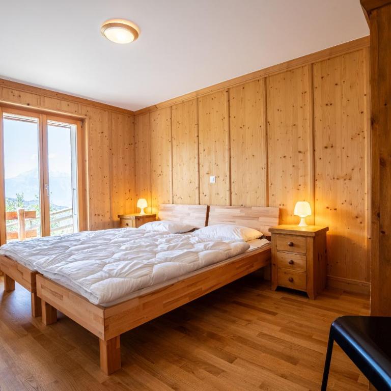 Tschoueilles 014 MOUNTAIN & VIEW - chalet 12 pers - Chalet - 11