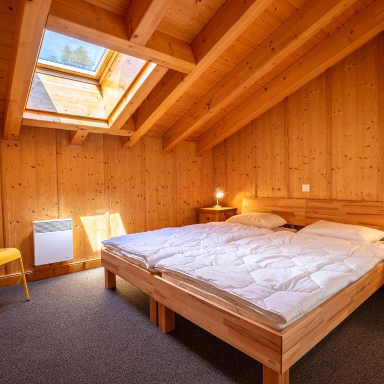 Tschoueilles 014 MOUNTAIN & VIEW - chalet 12 pers - Chalet - 15