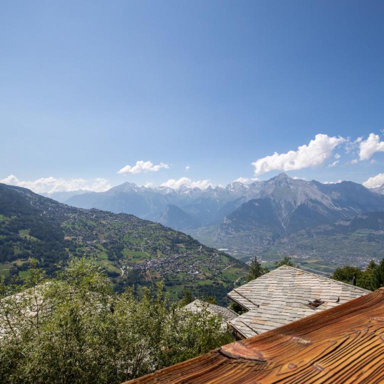 Tschoueilles 014 MOUNTAIN & VIEW - chalet 12 pers - Chalet - 23