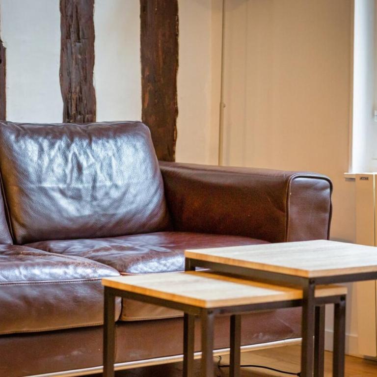 Le Charmant F2 rue du Gros Horloge à Rouen! - Appartement 1 Chambre - 15