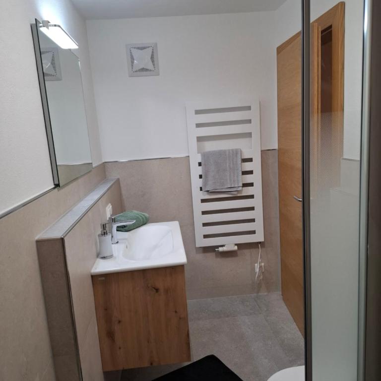 WG Appartment - Apartment mit 1 Schlafzimmer und Dusche - 12