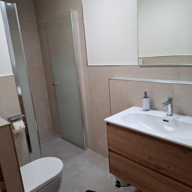 WG Appartment - Apartment mit 1 Schlafzimmer und Dusche - 11