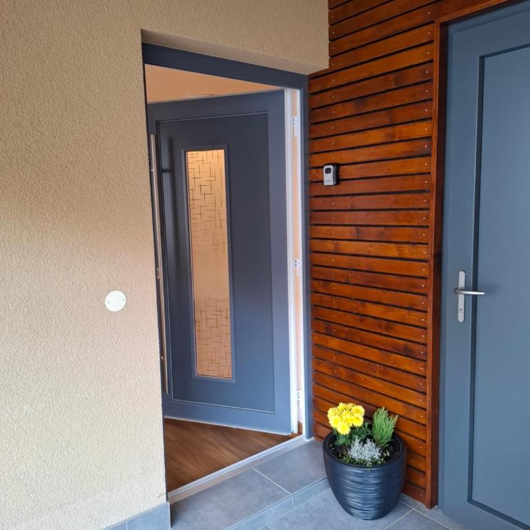 WG Appartment - Apartment mit 1 Schlafzimmer und Dusche - 2