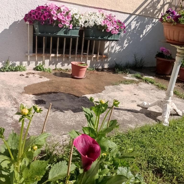 Tirano Express Comfort 2P Appartamento spazioso con vista montagne, ideale per famiglie e gruppi - Appartement avec Vue et Balcon - 25