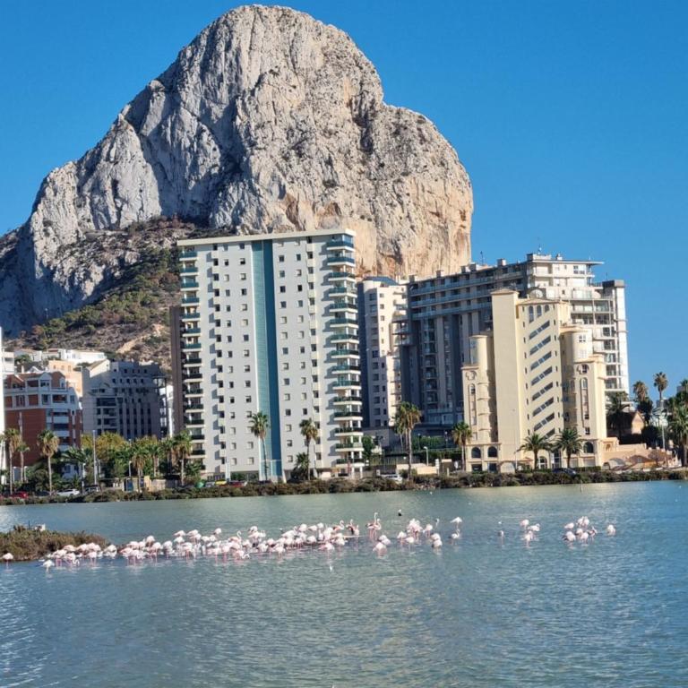 Ap Skerup Calpe City cerca Playa - Apartamento de 2 dormitorios - 14