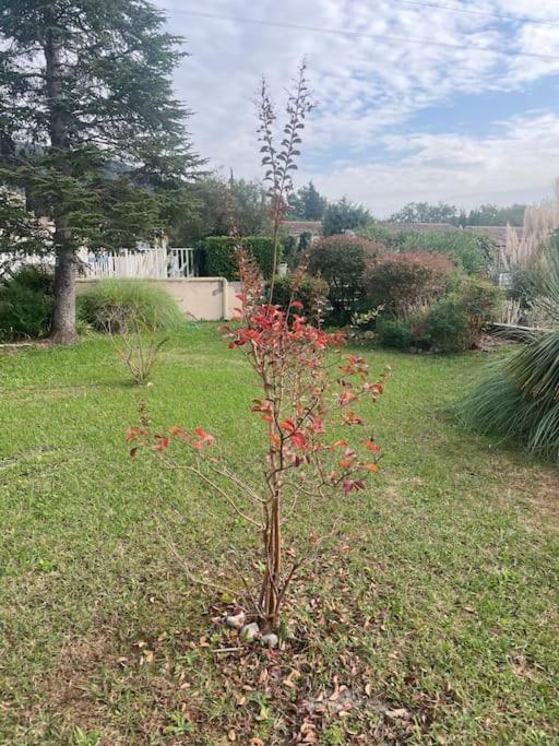 Maison 2 P- Peymeinade lotissement avec Piscine - Villa 1 Chambre - 24