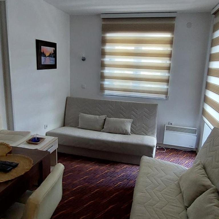 Vila Zvončica, apartman Puzović 22 - Studio Apartman - 7