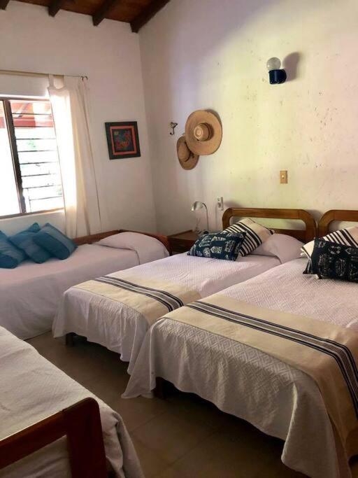 Finca La Dicha - Casa de 5 dormitorios - 14