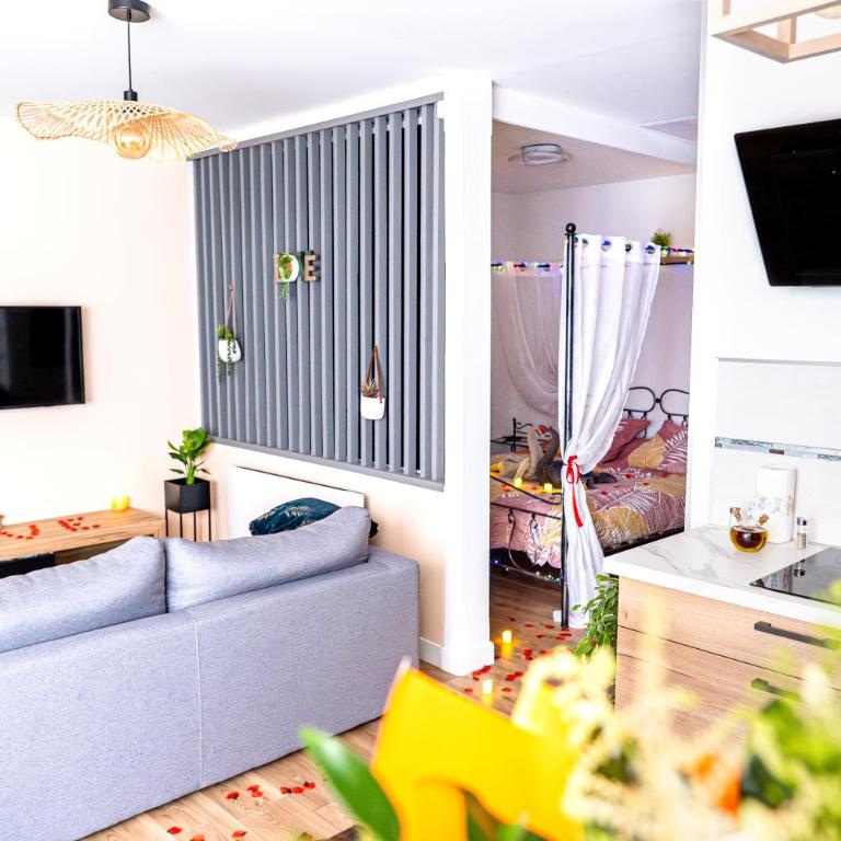 Il Était Une Fois - GAP Chambre romantique & SPA - Appartement 1 Chambre - 13