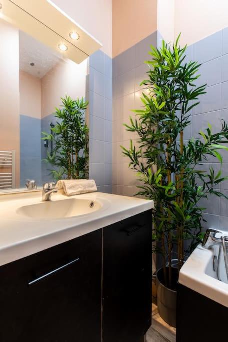 Confort et Espace 12pers centre Lamartine - Appartement - 15
