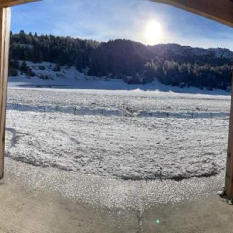 Appartement lumineux neuf dans bas de chalet LE DOUGLAS - Appartement 2 Chambres avec Terrasse - 30