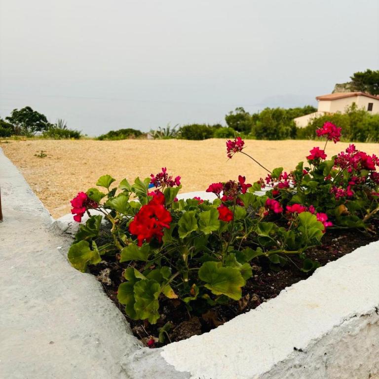 Terrazza Vitaloca - Apartamento Estándar de 1 dormitorio - 27