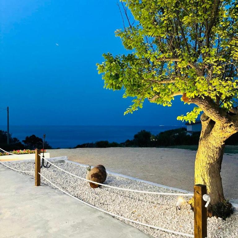 Terrazza Vitaloca - Apartamento Estándar de 1 dormitorio - 32