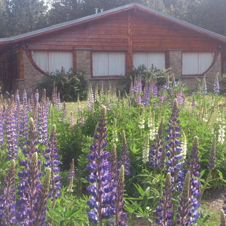 Posada del Angel - Bungalow (2 Adults + 3 Children) - 2