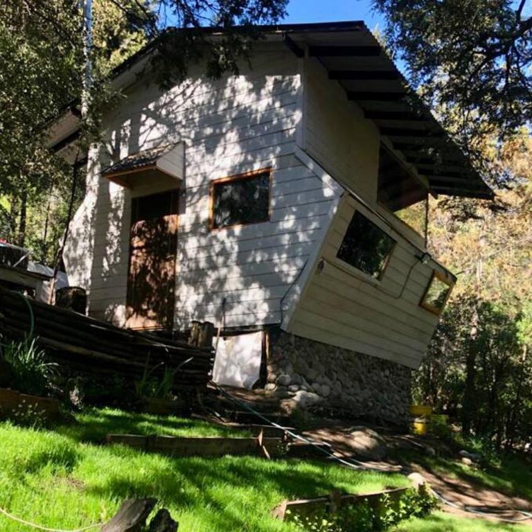 Cabaña Huillin, Experiencia única del Bosque - Apartamento de 1 dormitorio - 1