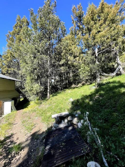 Cabaña Huillin, Experiencia única del Bosque - Apartamento de 1 dormitorio - 12