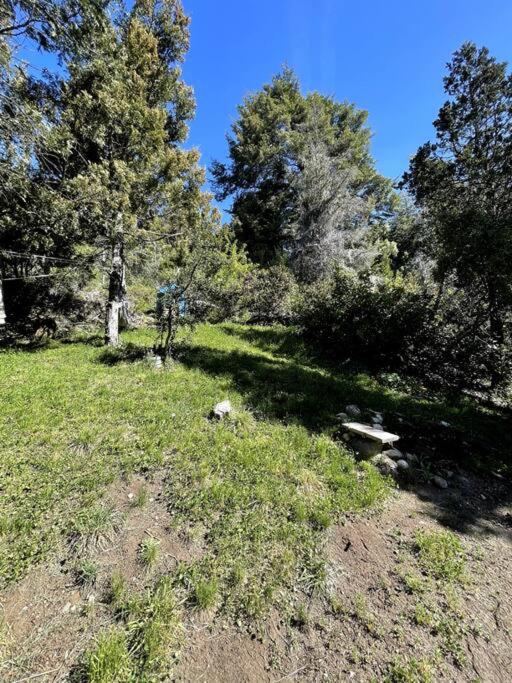 Cabaña Huillin, Experiencia única del Bosque - Apartamento de 1 dormitorio - 13