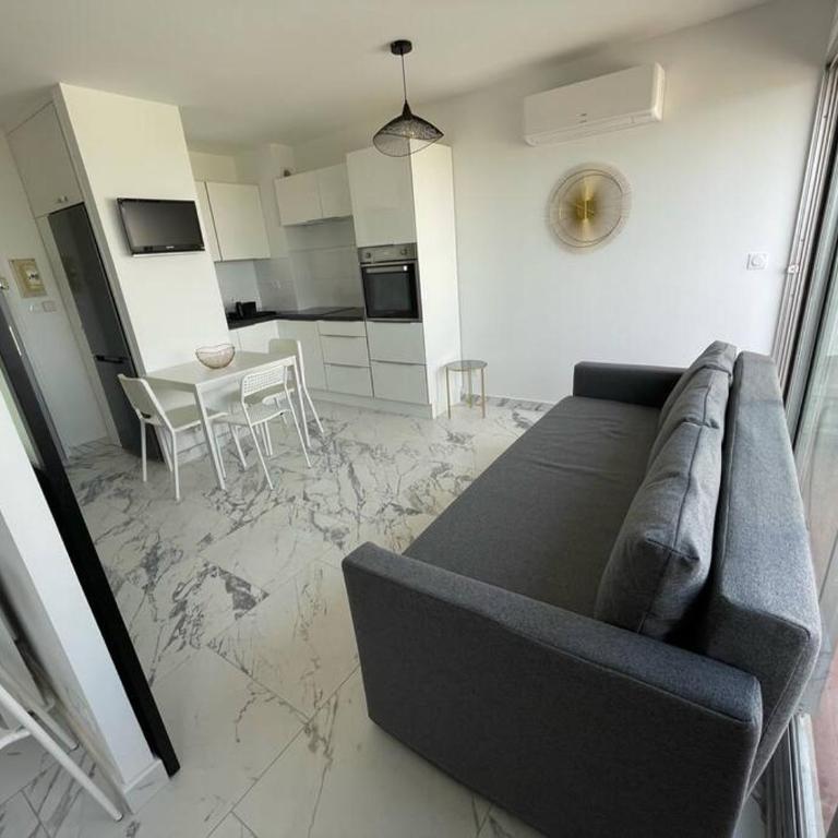 Appartement T2 front de mer, vue panoramique - Appartamento con 1 Camera da Letto - 6