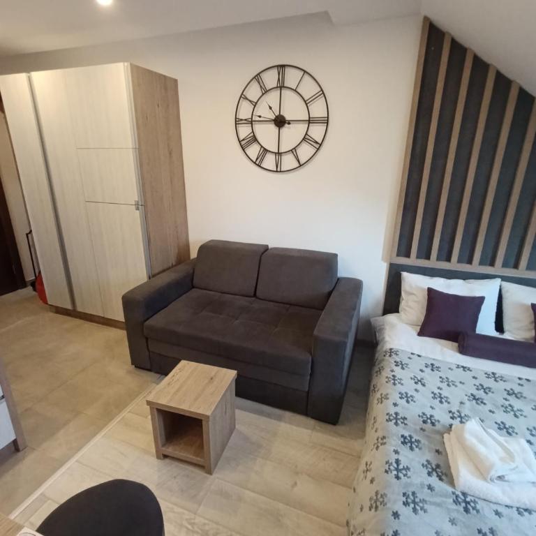 Kopaonik - Milmari resort S66 - Apartman sa 1 Spavaćom Sobom - 8