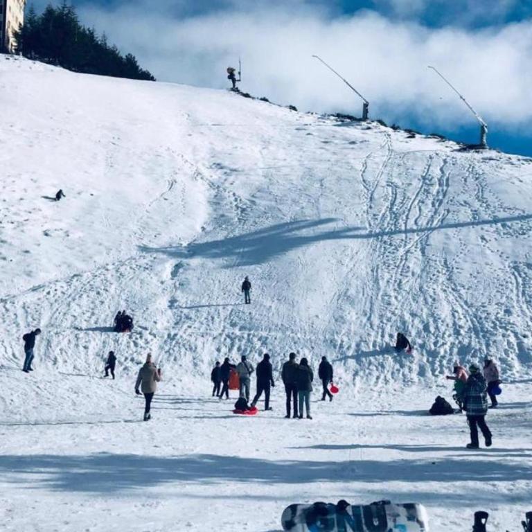 Sierra Marbella SKI - Appartamento con 2 Camere da Letto - 44