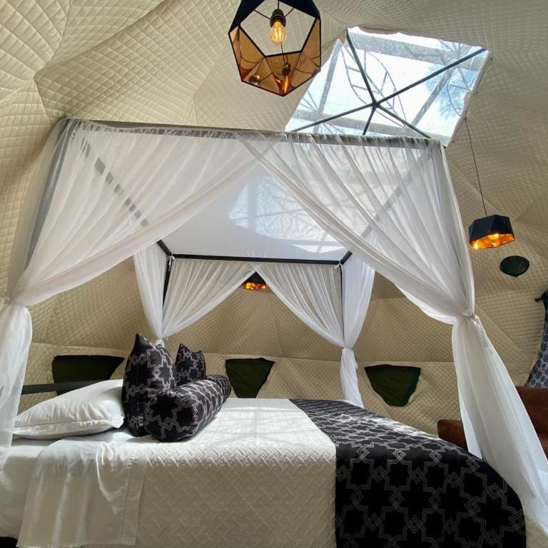 Suites Casa ColibrÍ - Suite Deluxe con cama extragrande - 12