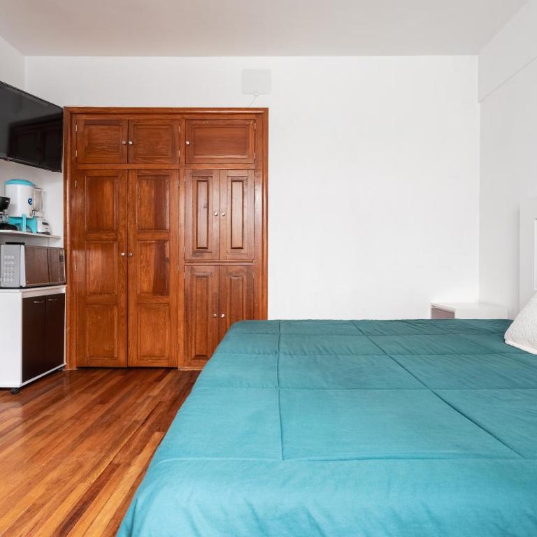Nice private studio. Polanco area :) - One-Bedroom Apartment - 9
