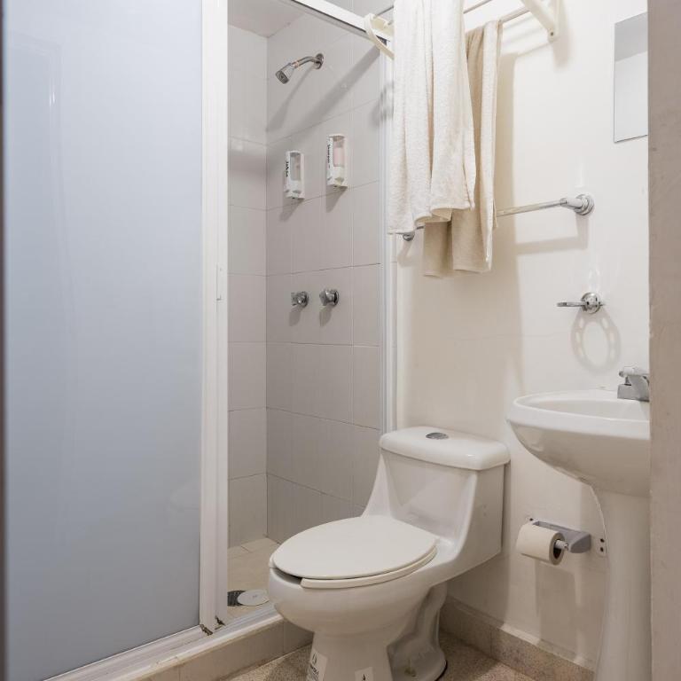 Nice private studio. Polanco area :) - One-Bedroom Apartment - 10