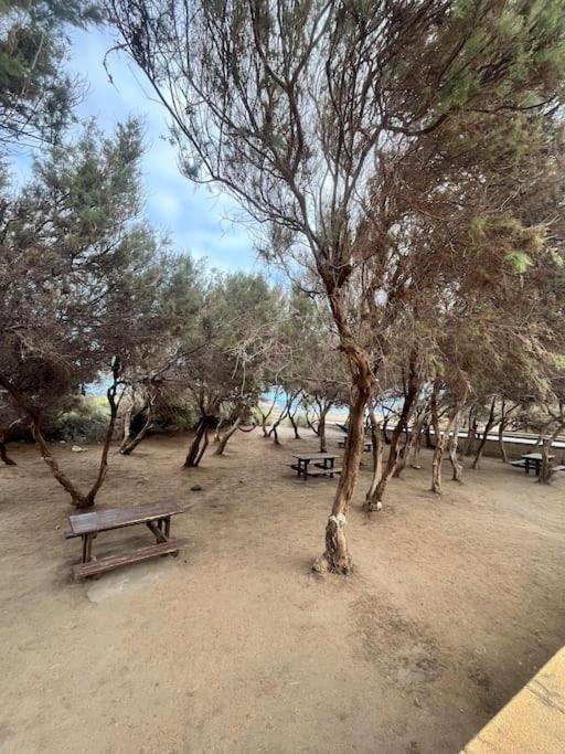 Marineda el Médano - Apartamento de 1 dormitorio - 21