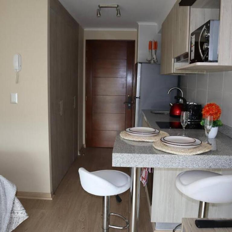 Centro Osorno Express - Apartamento de 1 dormitorio - 10
