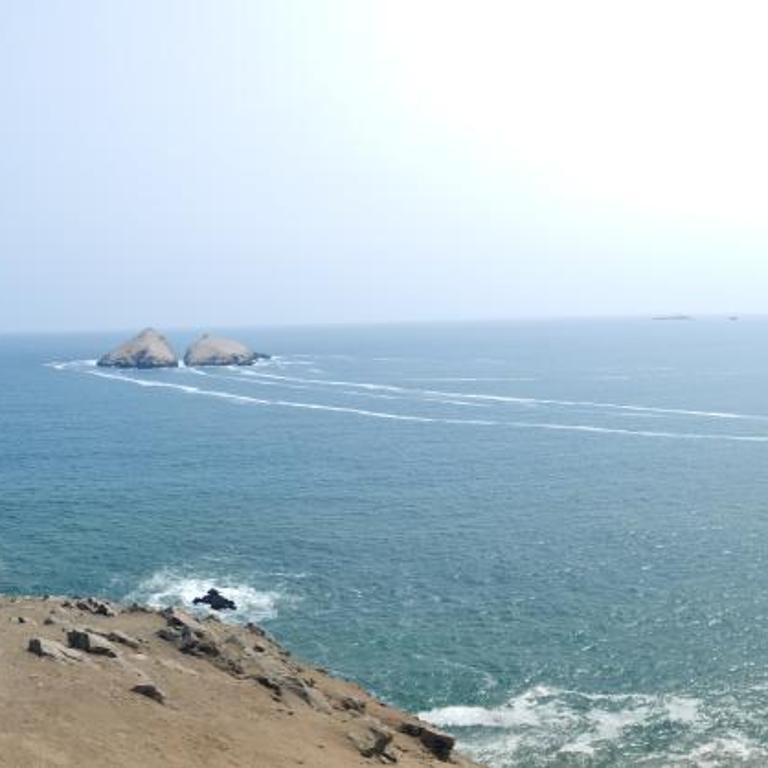 bungalows - One-Bedroom Apartment - 1