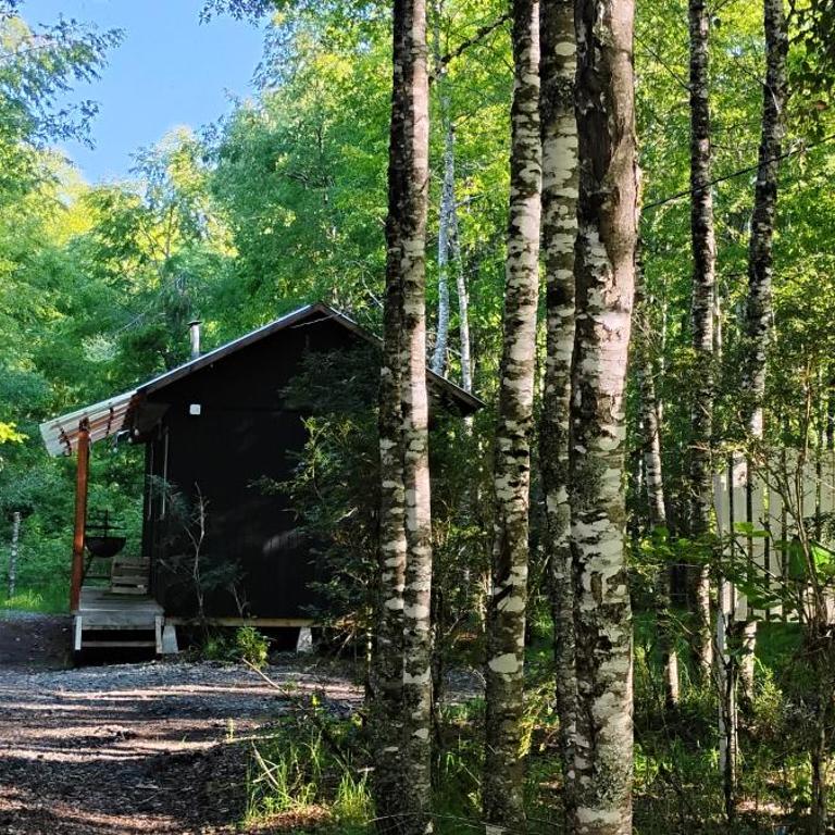 Cabaña Ruka trinar - Double or Twin Room - 1