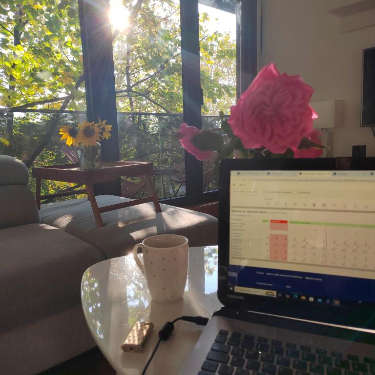 Cozy Nest - Apartman sa 1 Spavaćom Sobom - 6