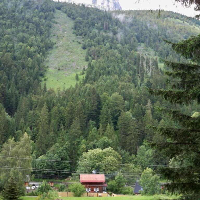 Altes Forsthaus am Bach - Haus mit 3 Schlafzimmern - 21