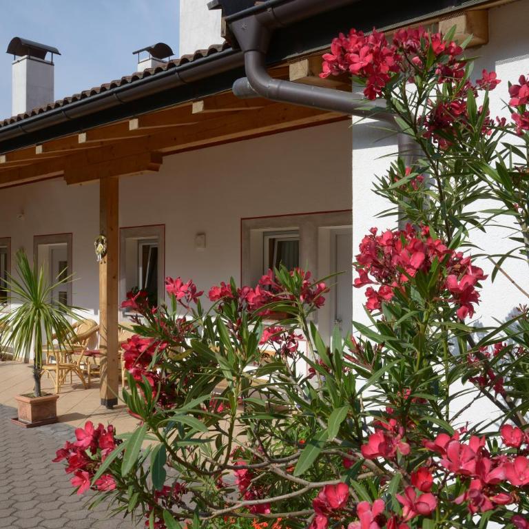 Kampflhof Apartments - Appartamento con Balcone - 5