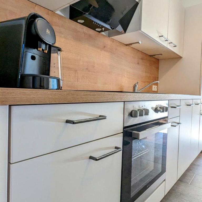 Boutique-Apartments Familie Jarosch Fieberbrunn "Freier Eintritt in das örtliche Hallenbad inklusive Saunalandschaft oder zum Badesee" - One-Bedroom Apartment - 2