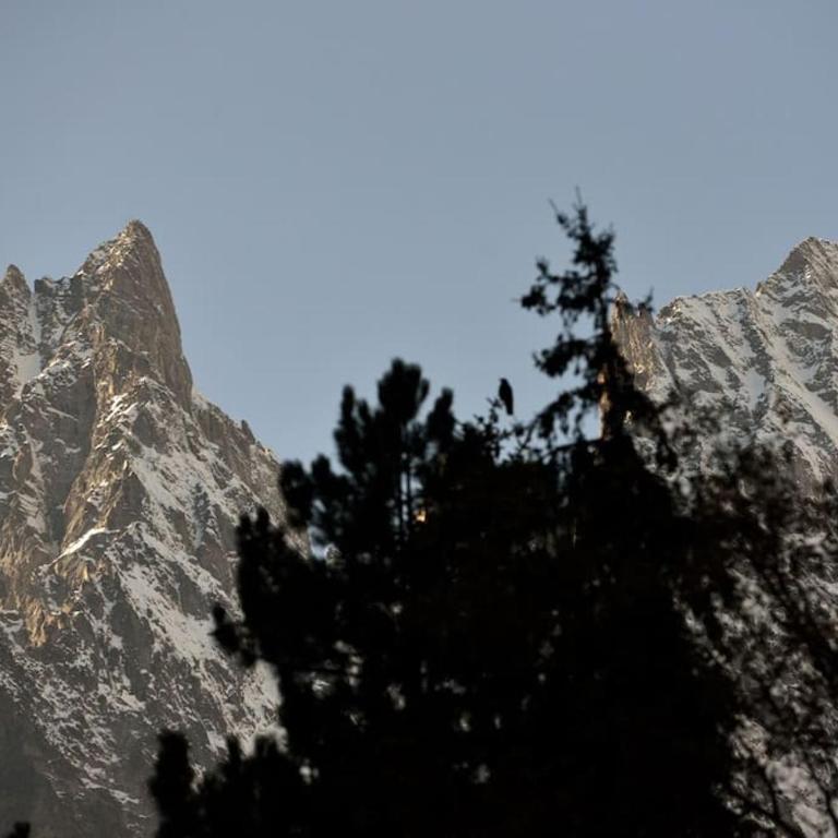 Chalet Chanton - Monolocale - 11