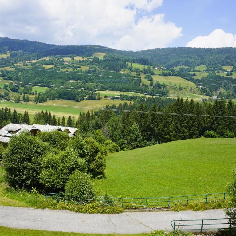 Alpenchalet Mountain Retreat Murau - Chalet - 20