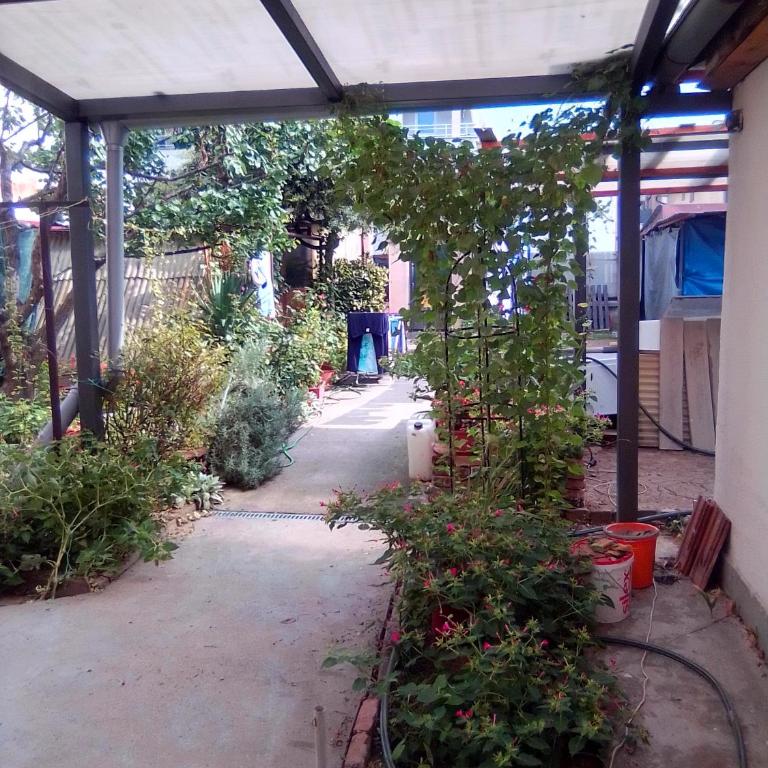 Home in flowers - Apartman sa 1 Spavaćom Sobom - 3