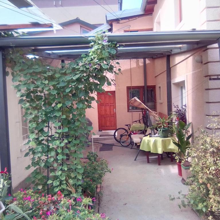 Home in flowers - Apartman sa 1 Spavaćom Sobom - 12